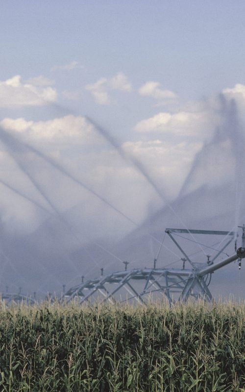 irrigation-system-2365705