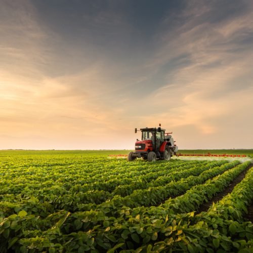 shutterstock_1280920030